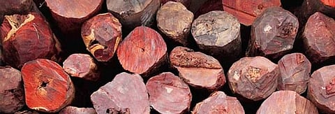 ರಕ್ತ ಚಂದನ| ಡೌನ್ ಟು ಅರ್ತ್