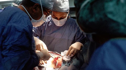 Doctors