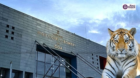 Tiger and Goa Bench of Bombay High Court
