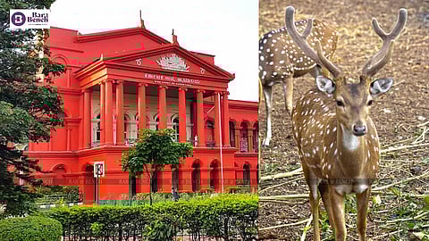 Deer and Karnataka HC