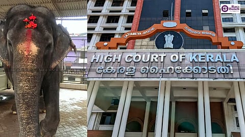 Elephant, Kerala High Court