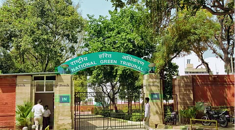 National Green Tribunal (NGT)
