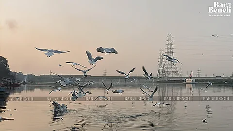 Yamuna river