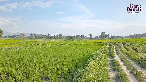 Farmer, agricultural land (For representation only)