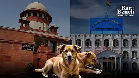 Supreme Court, Meghalaya High Court and Stray Dogs