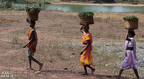 Forest Dwellers (Representative Image)