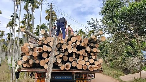 ಅರಣ್ಯ ಉತ್ಪನ್ನಗಳ ಸಾಗಣೆ ಪರವಾನಿಗೆ ಶುಲ್ಕ ₹10 ಸಾವಿರದಿಂದ ₹20 ಸಾವಿರಕ್ಕೆ ಹೆಚ್ಚಿಸಿರುವ ಸರ್ಕಾರದ ಆದೇಶಕ್ಕೆ ತಡೆ
