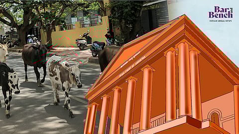 ಕಳವಾದ ಹಸುಗಳನ್ನು ಬಿಟ್ಟು ನೈಜ ಅಪರಾಧಗಳ ಬೆನ್ನತ್ತಿ: ಕರ್ನಾಟಕ ಪೊಲೀಸರ ಕಿವಿ ಹಿಂಡಿದ ಹೈಕೋರ್ಟ್