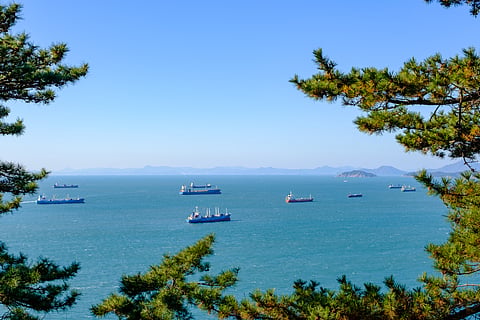 Korea Feb base oil exports to Americas fall