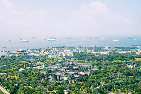Spore’s 4-week base oils exports to China extend fall