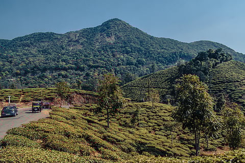 Savita India’s largest base oils importer in April