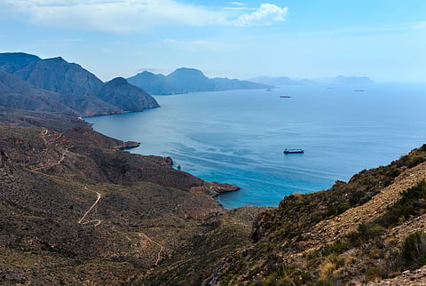 Spain’s June Cartagena premium-grade exports fall