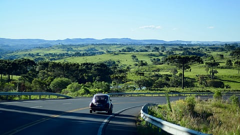 Brazil’s May supply matches demand