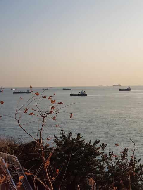 S Korea’s June exports to NE Asia fall