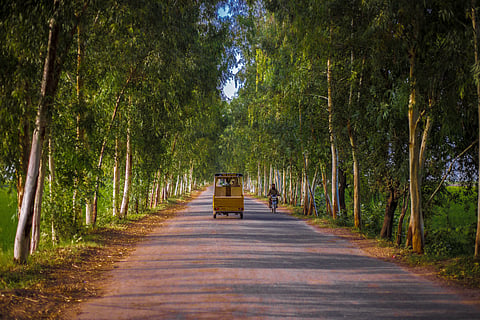 Pakistan’s May base oils supply rises