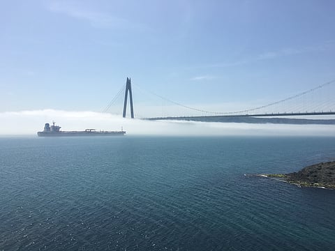 Turkey’s June Group I imports fall