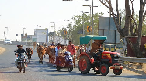 Castrol India’s Q2 profit rises