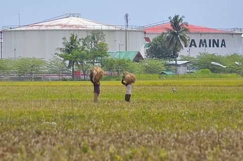 Indonesia’s June Grp I exports stay low