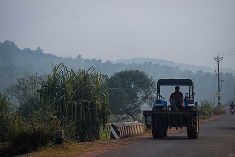 India’s August lube demand rises