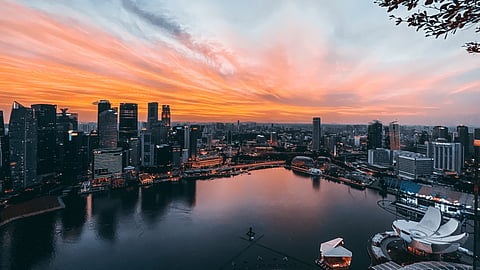 Spore’s exports rise in week to Nov 8