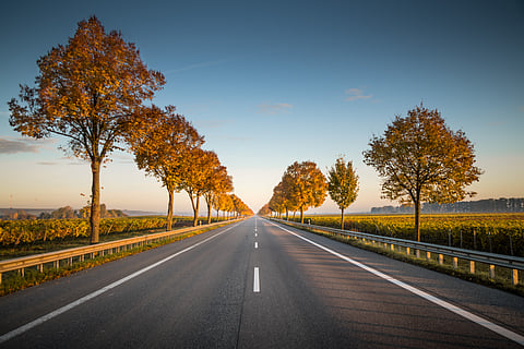 Europe’s Sept lube demand falls