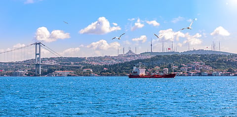 Turkey’s Sept Group I imports rise