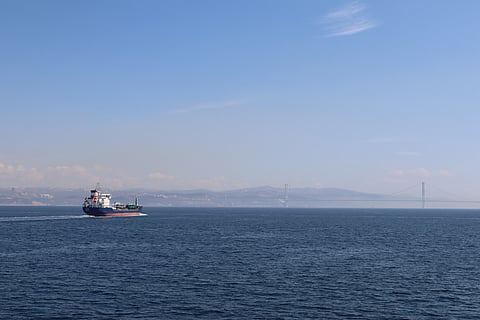 Turkey's Dec Group I imports stay lower