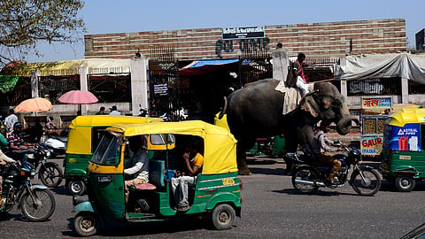 India’s July lube demand holds firm