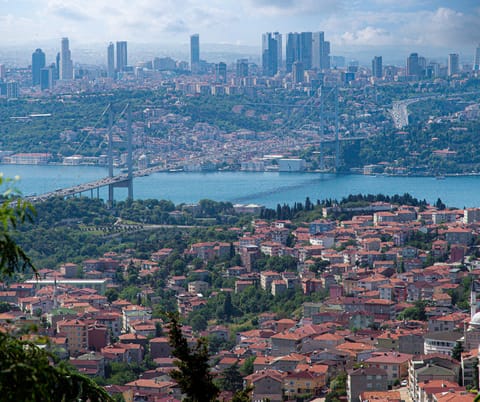 Photo showing Istanbul and Boshporus Strait