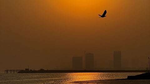 Photo of Karachi skyline silhouetted against sunset