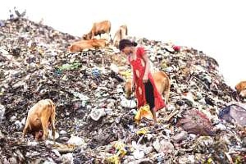 প্লাস্টিক গুয়াহাটিবাসীর স্বাস্থ্যের ক্ষেত্ৰে বিপদ ডেকে আনছে