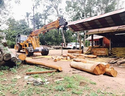 হাইলাকান্দিতে ৪ অবৈধ কাঠ চেরাই কল ভেঙে দেওয়া হল