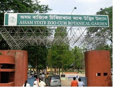অসম রাজ্য চিড়িয়াখানায় অনিয়মের অভিযোগ নিয়ে তদন্ত চলছে