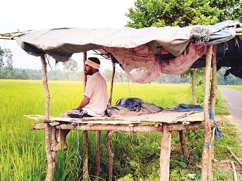 রানি অঞ্চলে বুনো হাতির উপদ্ৰব,তটস্থ কৃষকরা