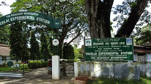 টোকলাই চা পর্যটন কেন্দ্ৰের শিলান্যাস করলেন মুখ্যমন্ত্ৰী