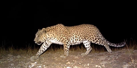 দিখৌ নদী থেকে উদ্ধার মৃত চিতা