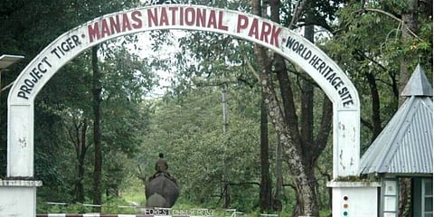 বন্যপ্ৰাণী হত্যায় জড়িত ৫ অপরাধীকে ৭ বছরের সশ্ৰম কারাদণ্ডের রায় বিজনি আদালতের