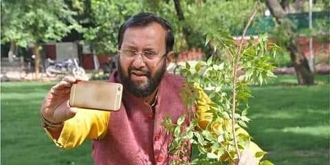 চারা গাছের সঙ্গে সেলফি তুলে পরিবেশ রক্ষায় অভূতপূর্ব প্ৰচার মন্ত্ৰী প্ৰকাশ জাভড়েকারের