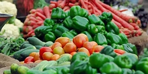 দিল্লির বাজারে সব্জিতে ধাতব পদার্থের মিশ্ৰণ ধরা পড়েছে বিজ্ঞানীদের পরীক্ষায়