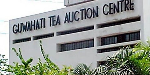 প্ৰতি কেজি ‘গোল্ডেন নিডল’ চা বিকলো ৭৫ হাজার টাকায়