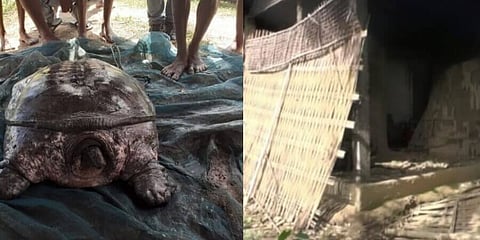 নুমলিগড়ের গ্ৰামে বুনো হাতিরা ৪টি বাড়ি গুড়িয়ে দিল