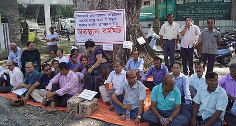 বকেয়া আদায়ের দাবিতে টোকলাই অবসরপ্ৰাপ্ত কর্মী সংস্থার অবস্থান ধর্মঘট
