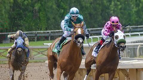 Clarence Alford/Pixabay