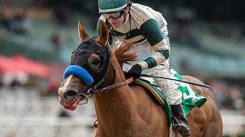 Mucho Gusto and Joseph Talamo win the Grade III, $150,000 Robert B. Lewis Stake horse race Saturday, Feb. 2, 2019, at Santa Anita in Arcadia, Calif. (Benoit Photo via AP)