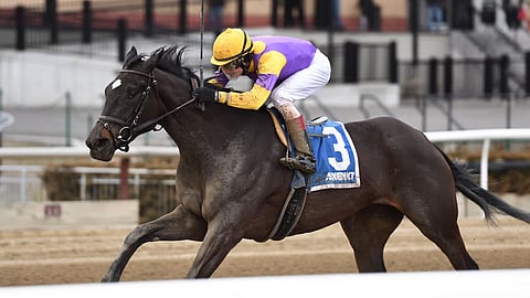 Midnight Disguise is running in the Biogio’s Rose Stakes, today’s 8th at Aqueduct. But McMudder isn’t picking her.