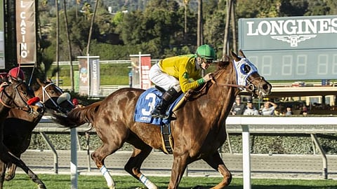 Vasilika is running today at Santa Anita. The last time she ran, Chris Garrity loved her. Today, not so much.