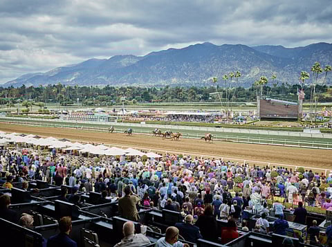Won’t this view at Santa Anita look nice if you’ve won the first four legs of the Stronach 5 and that’s your horse in front?