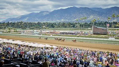 Won’t this view at Santa Anita look nice if you’ve won the first four legs of the Stronach 5 and that’s your horse in front?