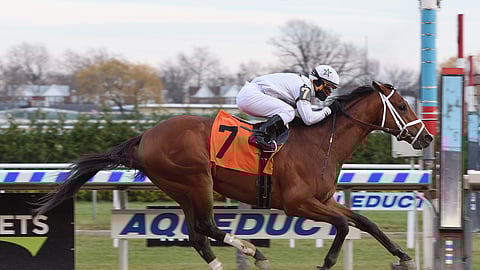 Audible is Chris Garrity’s pick in the Dubai World Cup.