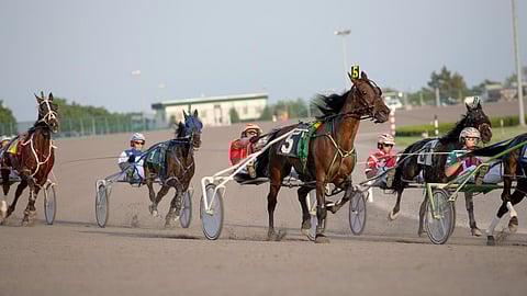 Harness Racing at Yonkers Raceway